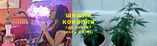 МДПВ Бородино