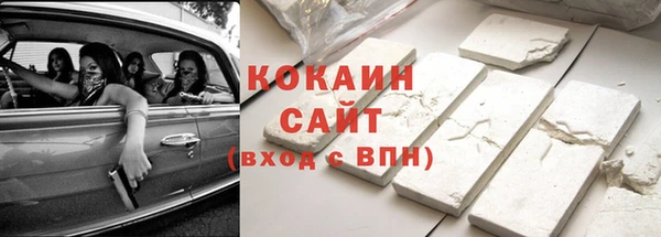 МДПВ Бородино