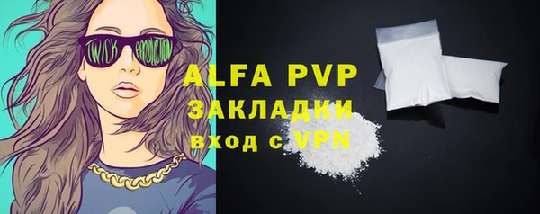 МДПВ Бородино