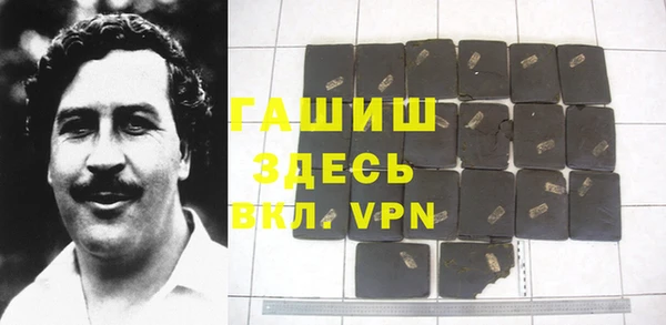 стаф Щигры