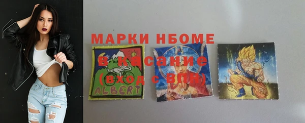 МДПВ Бородино