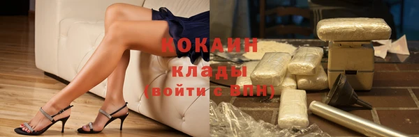 МДПВ Бородино