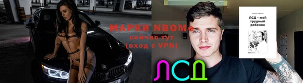 МДПВ Бородино