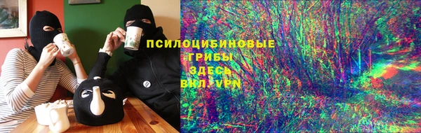МДПВ Бородино