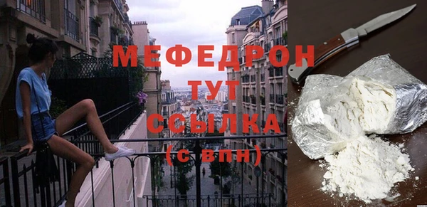 МДПВ Бородино