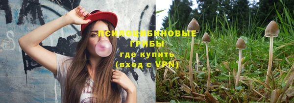 гидропоника Бугульма