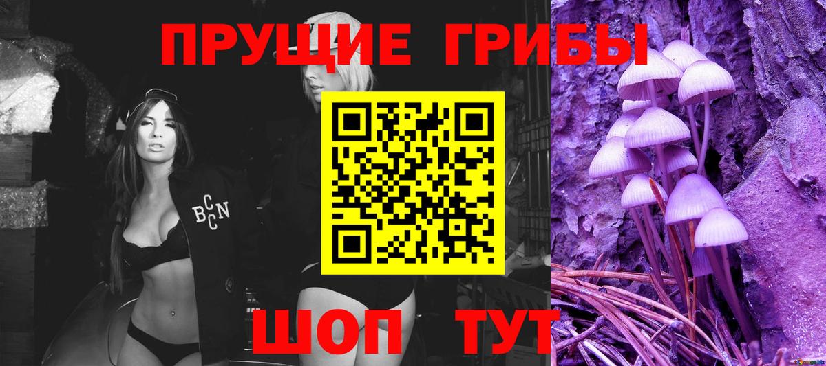 наркота  Вход с VPN  Рузаевка  Псилоцибиновые грибы Psilocybine cubensis 