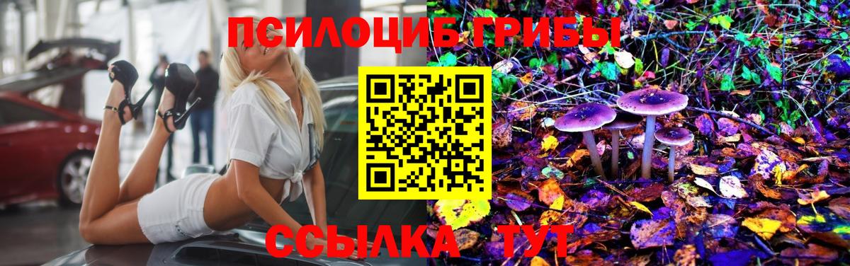 Галлюциногенные грибы GOLDEN TEACHER Рузаевка